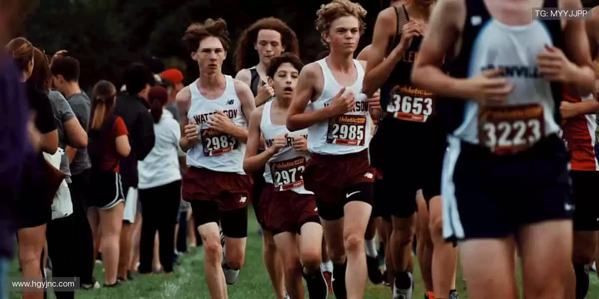 🎯 球星同款，即刻拥有！体育周边商城，解锁你的专属热爱！